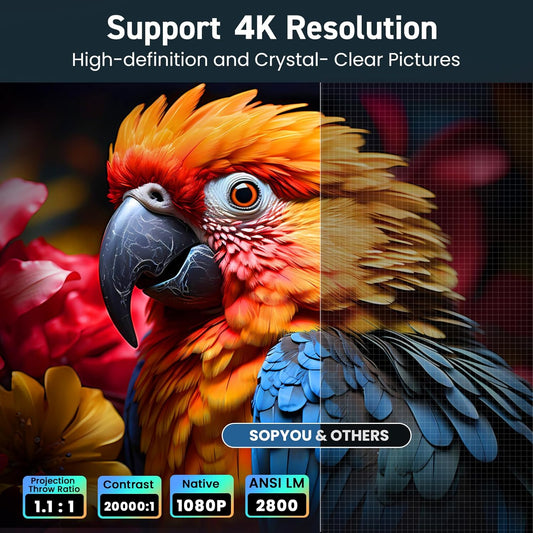SOPYOU Projector | S450